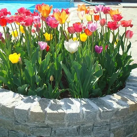 بيت للعطل Residenza Le Palme